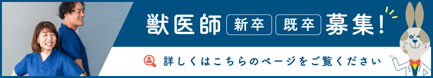 獣医師募集 採用情報へ