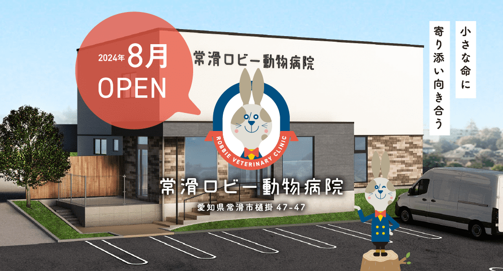 常滑ロビー動物病院　愛知県常滑市樋掛47-47　2024年8月オープン